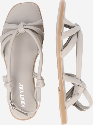 ABOUT YOU Strap Sandals 'Sabrina' in Beige