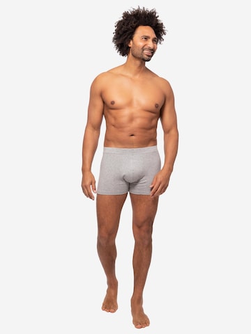 Almonu Boxer shorts 'Every Day Comfort' in Grey