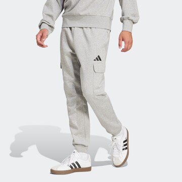ADIDAS SPORTSWEAR Конический (Tapered) Спортивные штаны в Серый: спереди