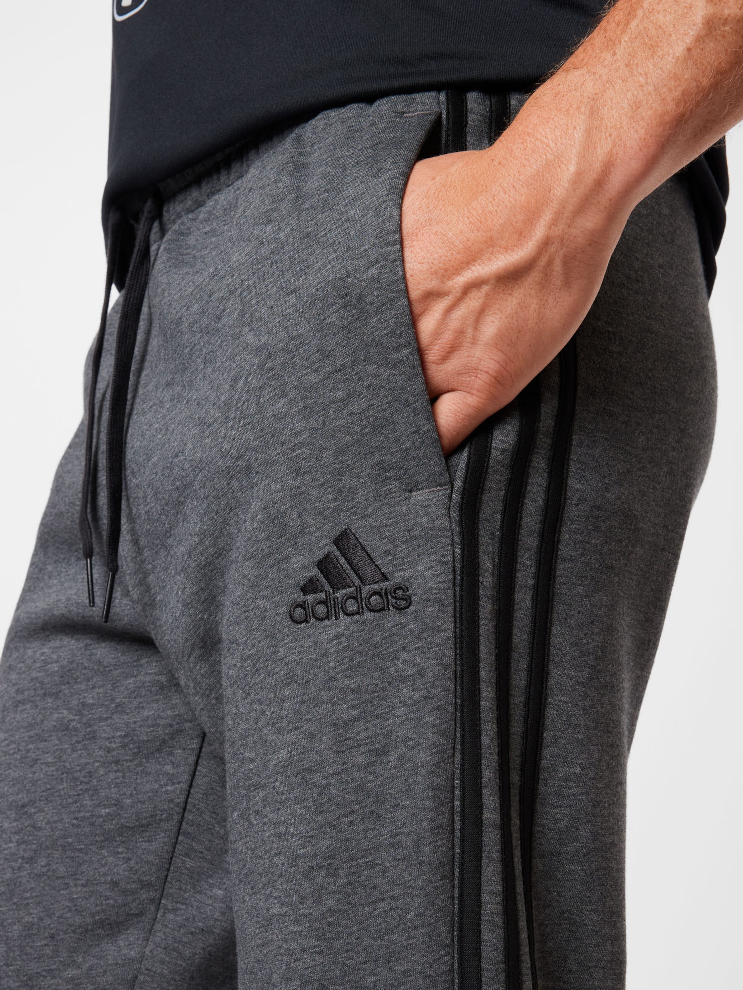 ADIDAS PERFORMANCE Pantaloni sportivi in Grigio | ABOUT YOU