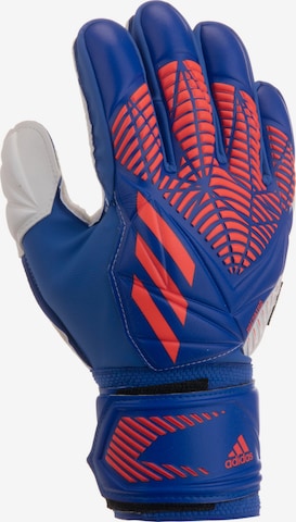 ADIDAS PERFORMANCE Athletic Gloves in Blue: front