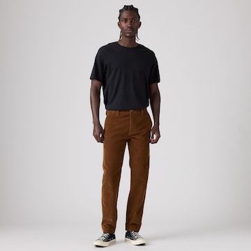 LEVI'S ® tavaline Chino-püksid 'XX CHINO STD II', värv pruun
