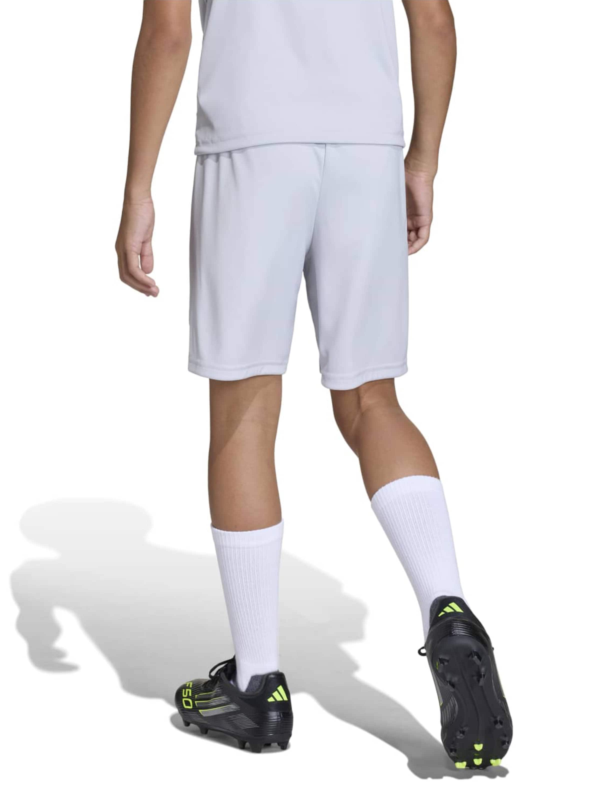 ADIDAS PERFORMANCE - regular Pantalón deportivo 'ENT26' en gris