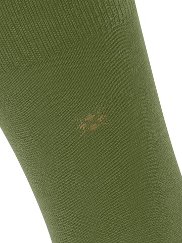 BURLINGTON Socken 'Leeds'‌‌‌‌‌‌ in Grün