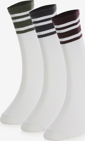 Crea Socks Sukat 'Hochschule' värissä valkoinen: etupuoli