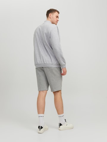 Jack & Jones Plus Regular Pants 'Shark' in Grey