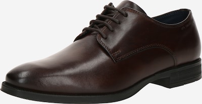 SALAMANDER Cipele na vezanje 'Auu' u tamno smeđa, Pregled proizvoda