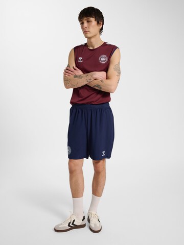 Hummel Regular Shorts in Blau