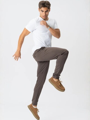 TEESHOPPEN Regular Trousers ' The Original ' in Brown