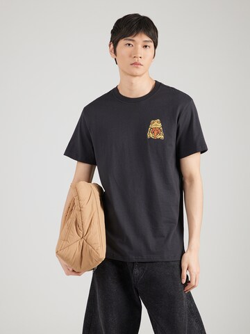 ELEMENT T-shirt 'TIMBER THE FROG' i grå
