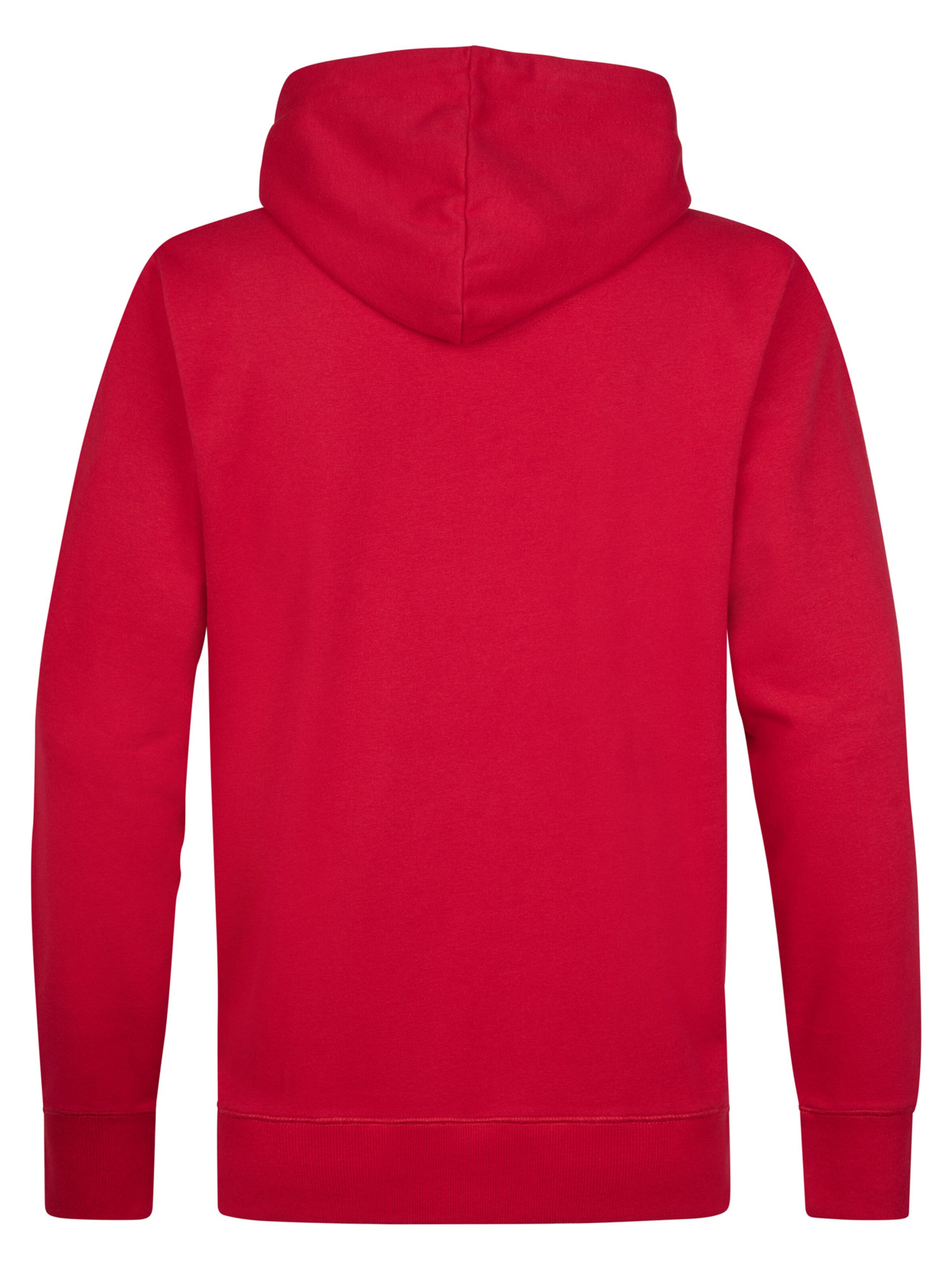 Petrol Industries Sweatshirt in Rood