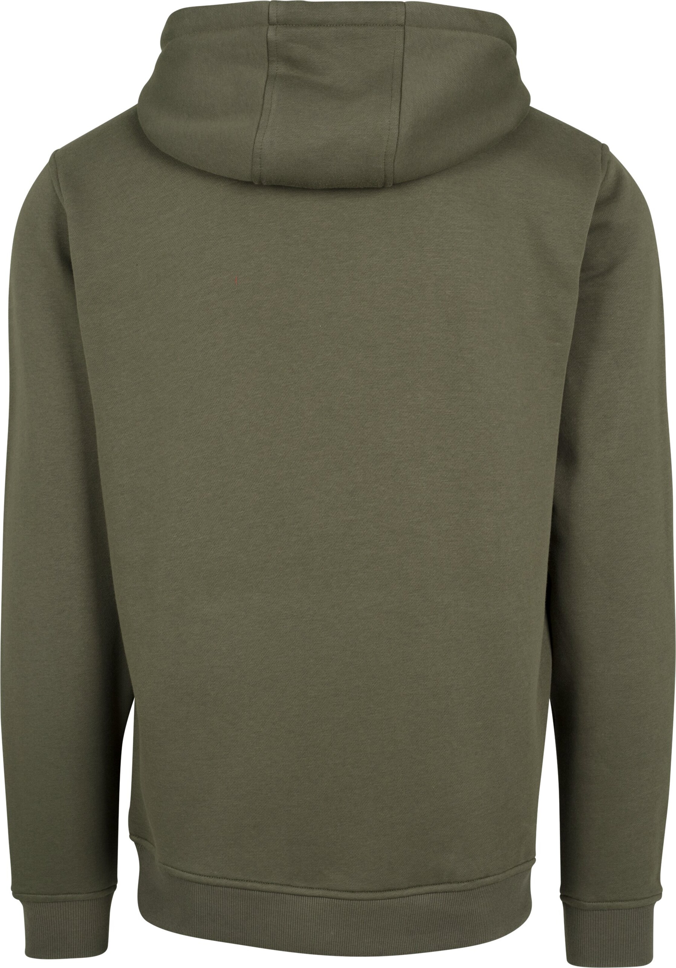 MT Men Sweatshirt in Grün