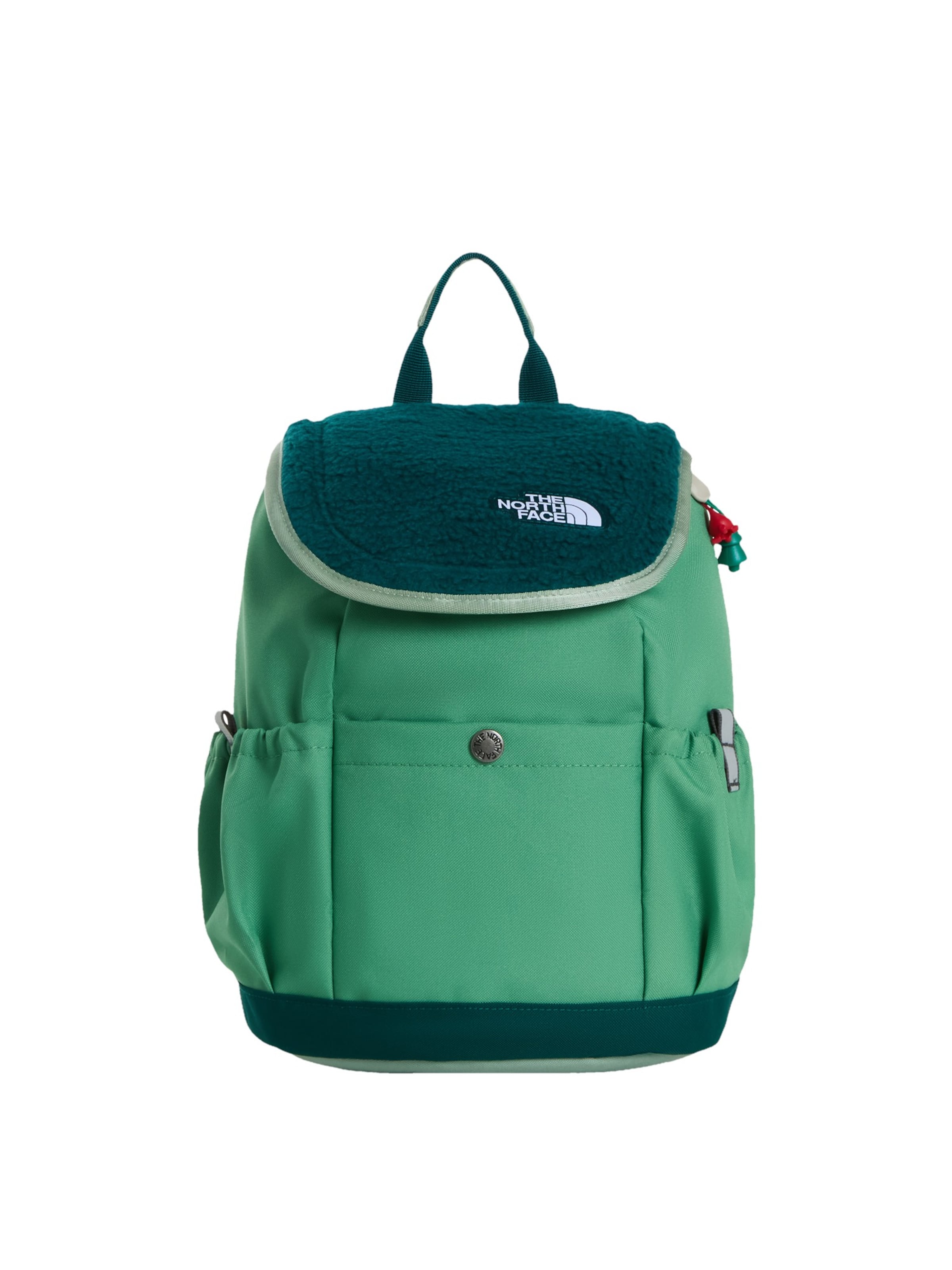 THE NORTH FACE Rucksack 'Explorer' in Grün: Vorderseite