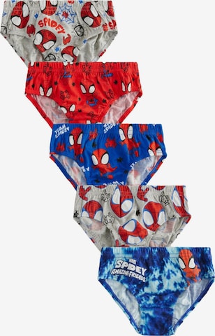 mišri Next Apatinės kelnaitės: priekis