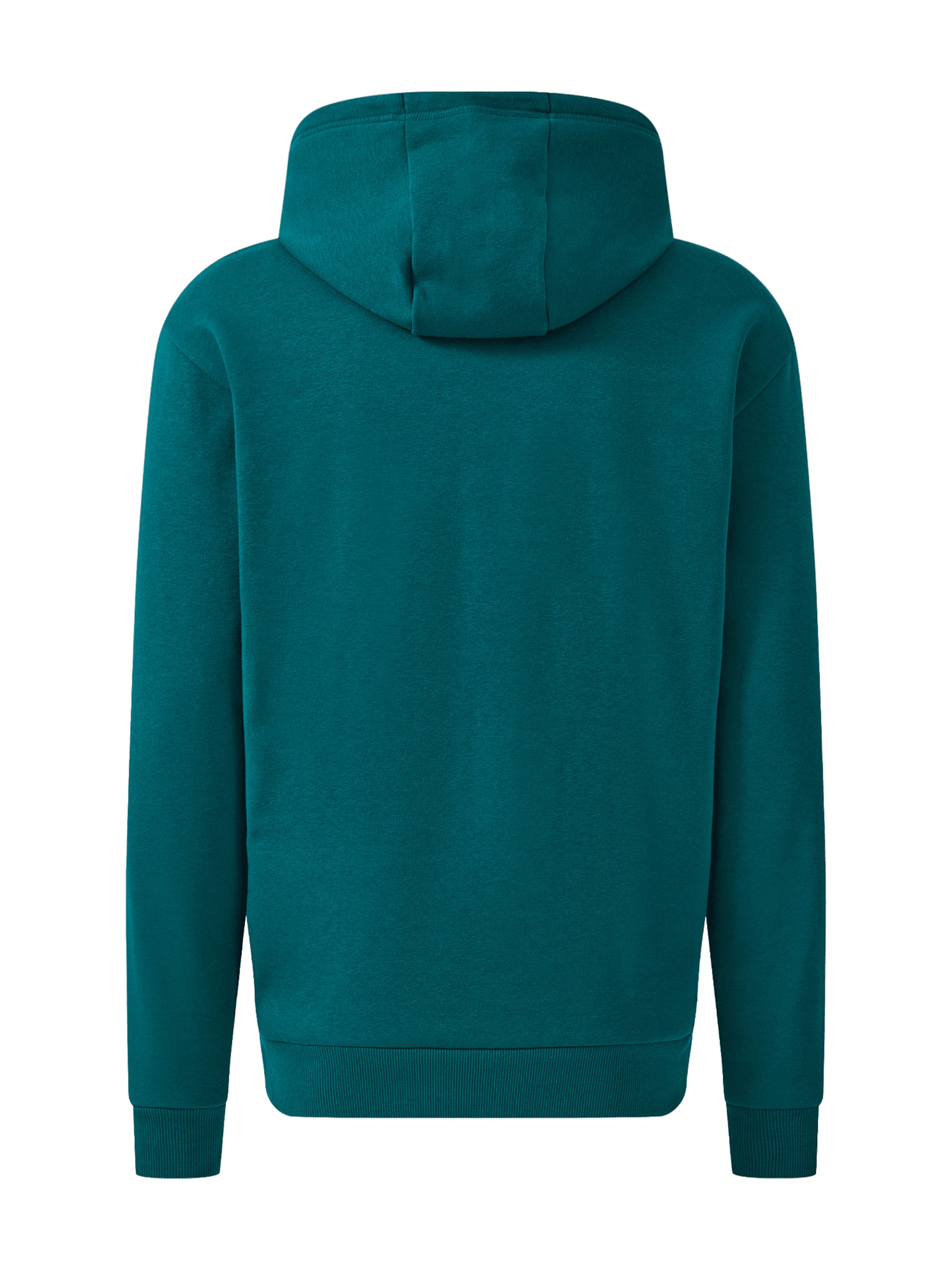 FC BAYERN MÜNCHEN Sweatshirt in Green