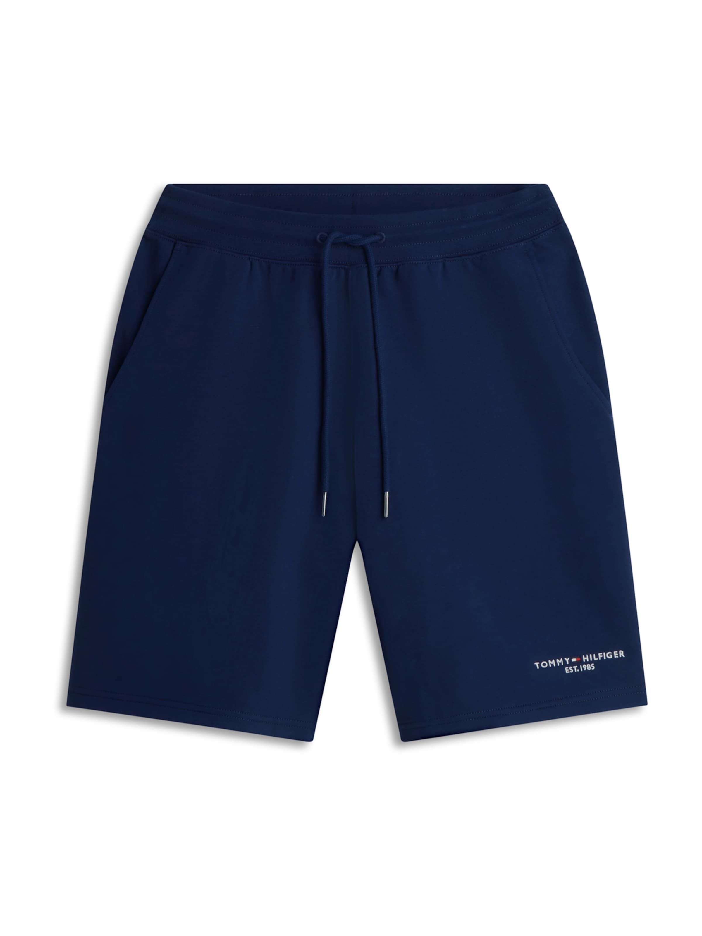 TOMMY HILFIGER Обычный Штаны в Синий: спереди