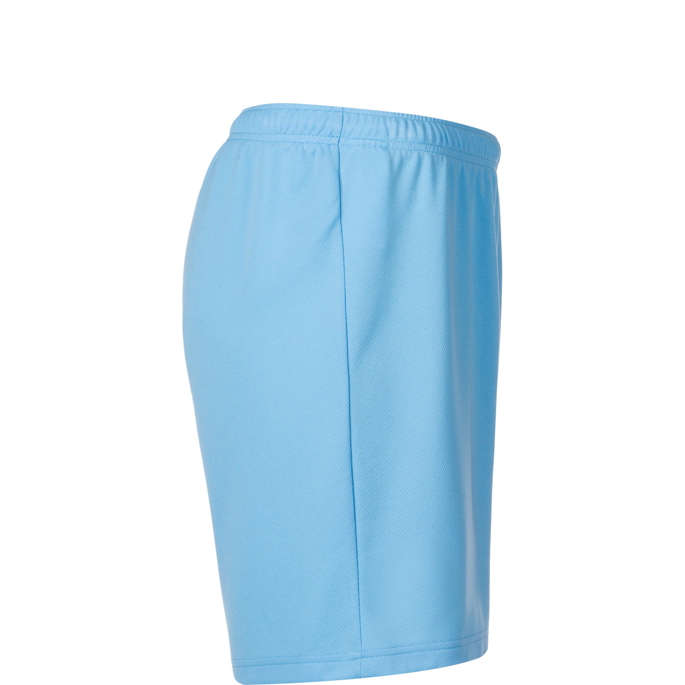PUMA Regular Sports trousers 'TeamRise' in Blue