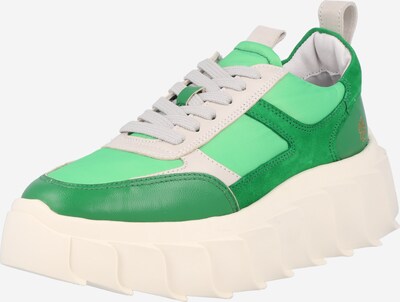 Apple of Eden Platform trainers 'Blair' in Beige / Grass green / Light green, Item view