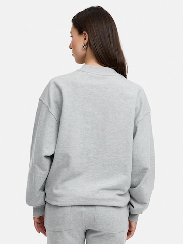 Daily Cotton Sweatshirt 'DCSORIA' in Grey