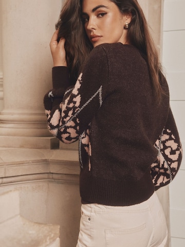 Lipsy Pullover in Braun