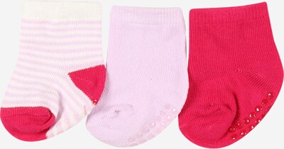 Șosete Cotton On pe roz / roz / alb, Vizualizare produs
