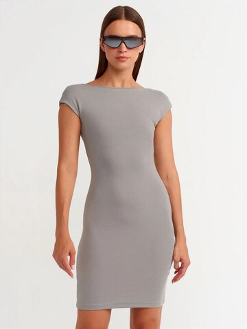 Dilvin - Vestido em cinzento: frente