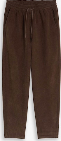TOM TAILOR DENIM Barrel Hose in Braun: Vorderseite