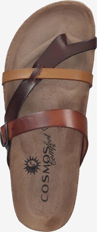 COSMOS COMFORT Mules in Brown