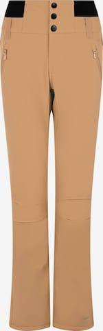 PROTEST Sports trousers 'PRTLULLABYOS' in Brown: front