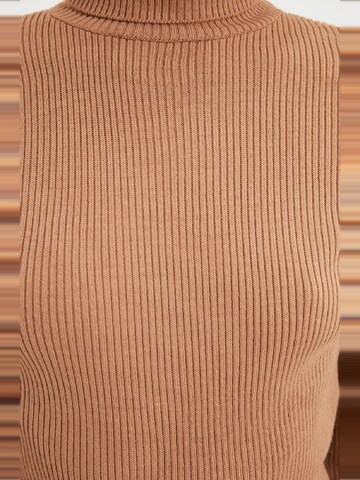 Pullover di Trendyol in marrone