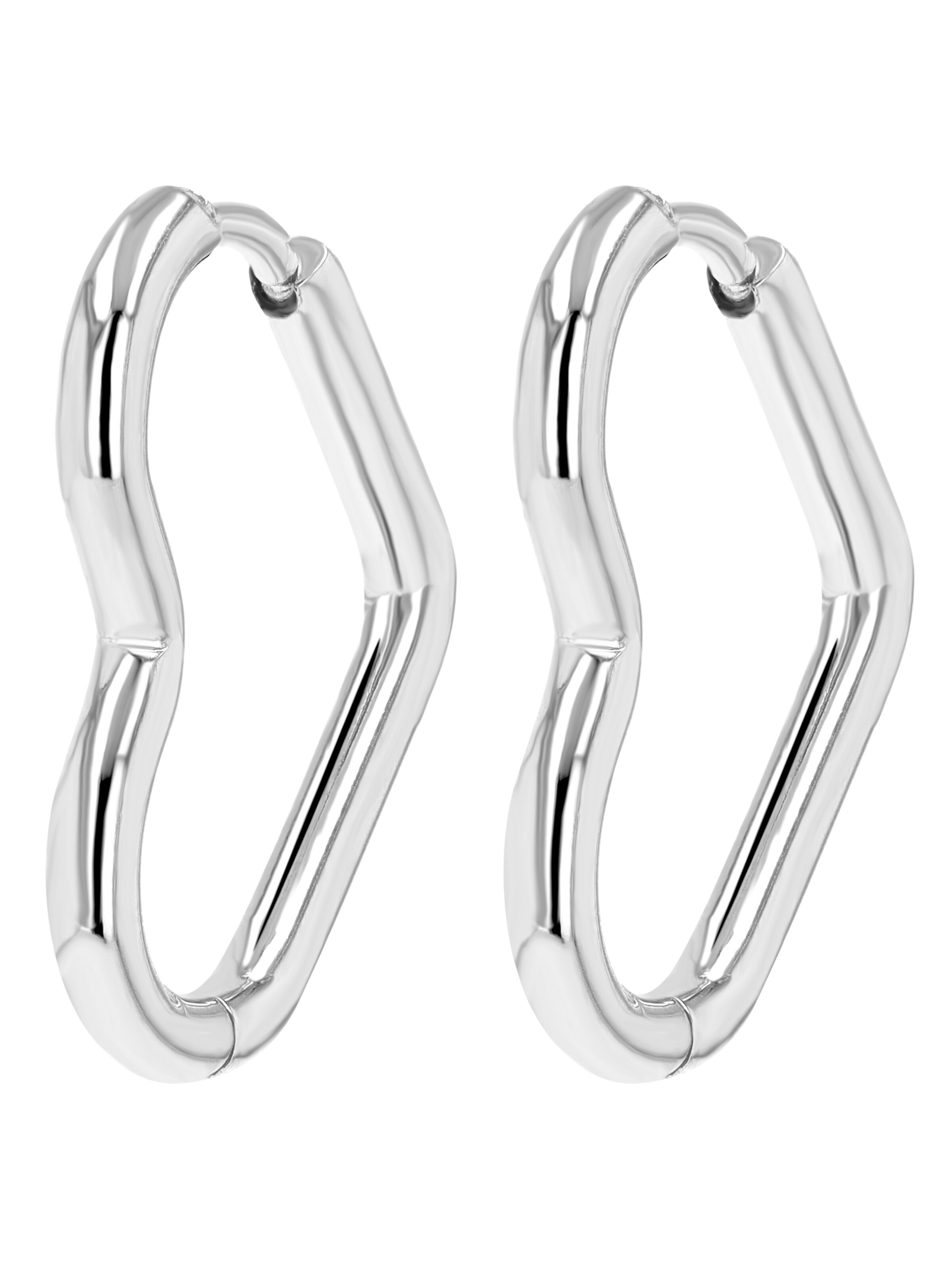 Akzent Earrings 'Libi, langlebig' in Silver: front