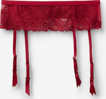 INTIMISSIMI Strumpfhalter in Rot: Vorderseite