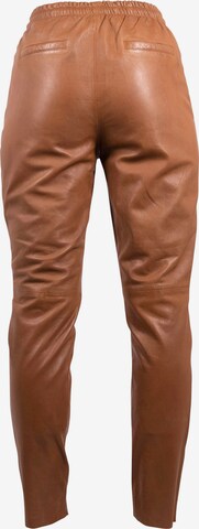 Gipsy Tapered Pants in Brown