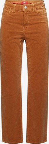 Regular Pantalon ESPRIT en marron : devant