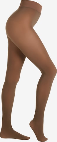 camano Panty's in Bruin: voorkant