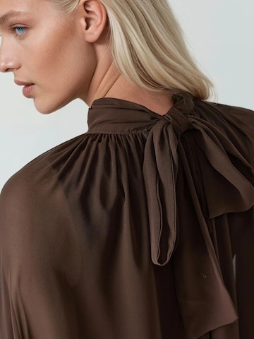 Abito di Hiccup in marrone