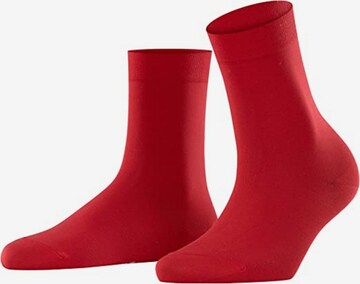 FALKE Sokken in Rood: voorkant
