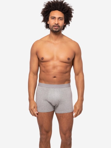 Almonu Boxer shorts 'Cotton' in Mixed colors