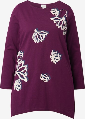 Ulla Popken Shirt in Lila: Vorderseite