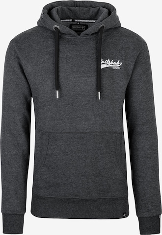 SPITZBUB Sweatshirt 'Thorben' in Grey: front