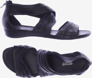 ECCO Sandals & High-Heeled Sandals in 39 in Black: front