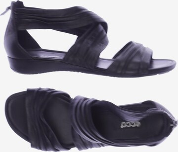 Ecco sales bouillon sandal