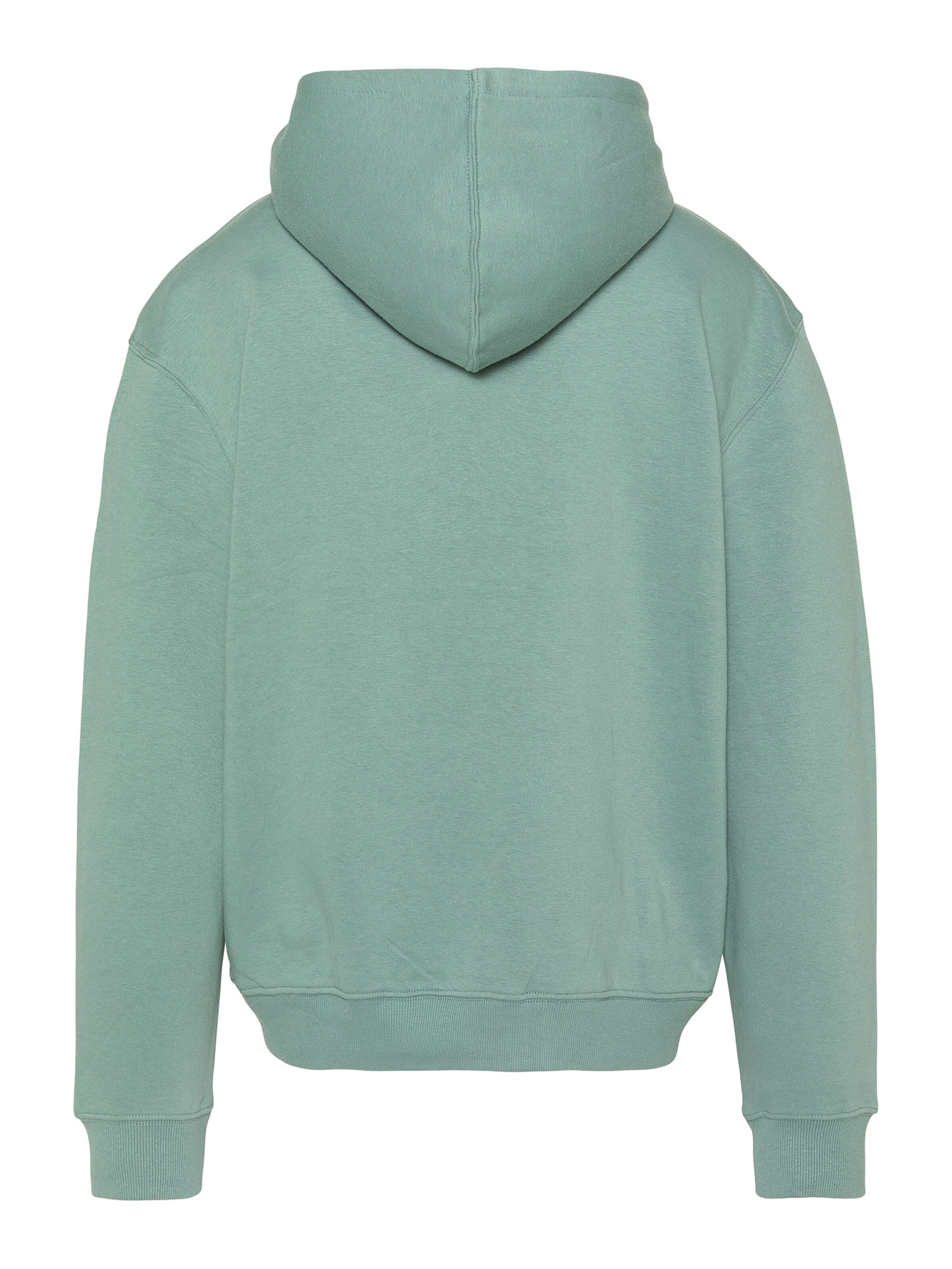 Schott NYC Sweatshirt‌‌‌‌‌‌‌‌‌ in Grün