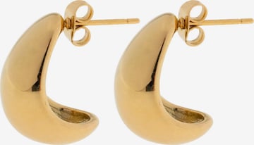 Boucles d'oreilles 'Beaux' timi of sweden en or : devant