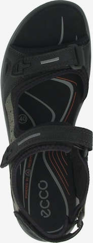Sandales de randonnée 'Offroad' ECCO en noir