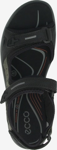 ECCO Trekkingsandale 'Offroad' in Schwarz