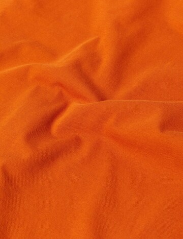 MAMMUT Performance Shirt in Brown