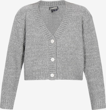 Cardigan DreiMaster Vintage en gris : devant