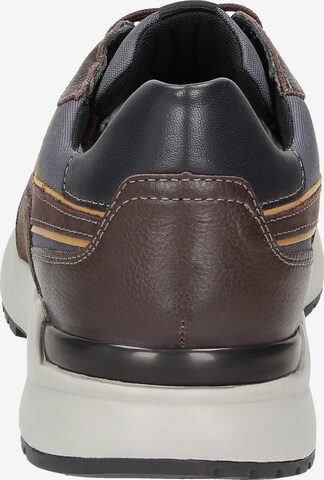 SIOUX Sneakers laag 'Lachlan' in Bruin