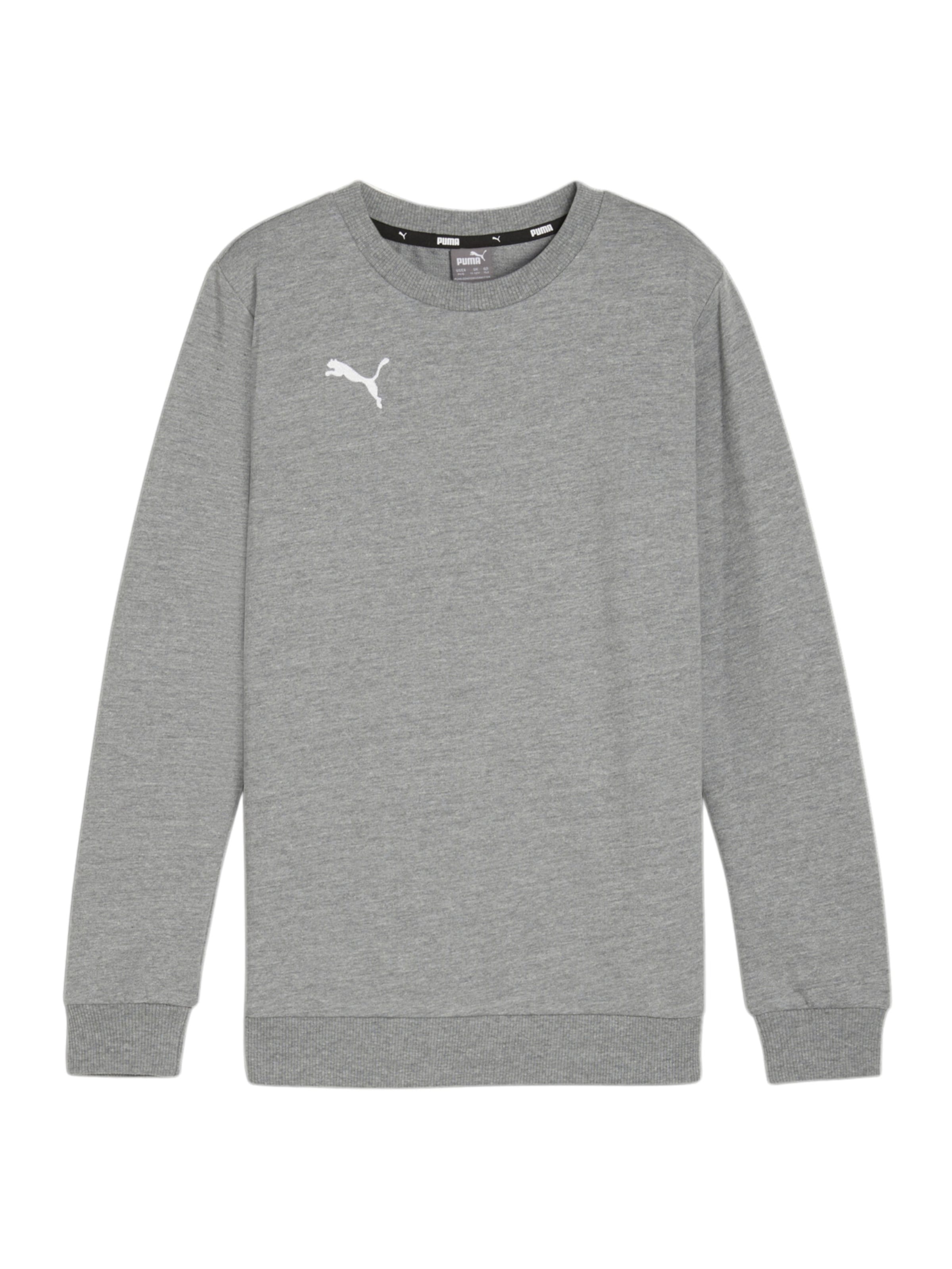 PUMA Sportsweatshirt 'GOAL' in Grau: Vorderseite